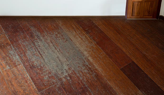 Close-up view of scratches on wood floor