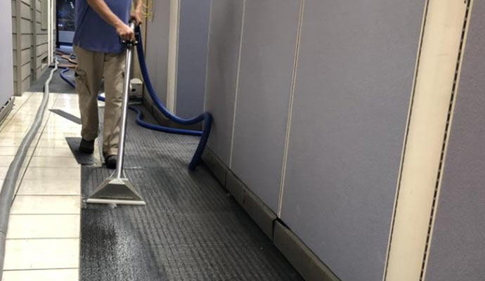 A professional cleaning a commercial carpet