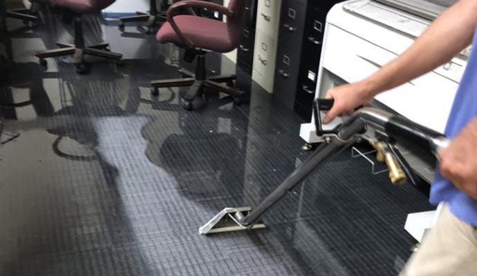 A professional cleaning a commercial carpet