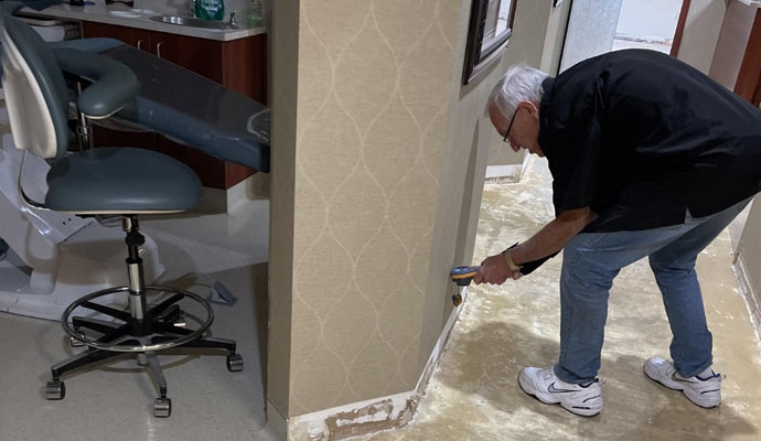 Professional worker testing mold in the dental office