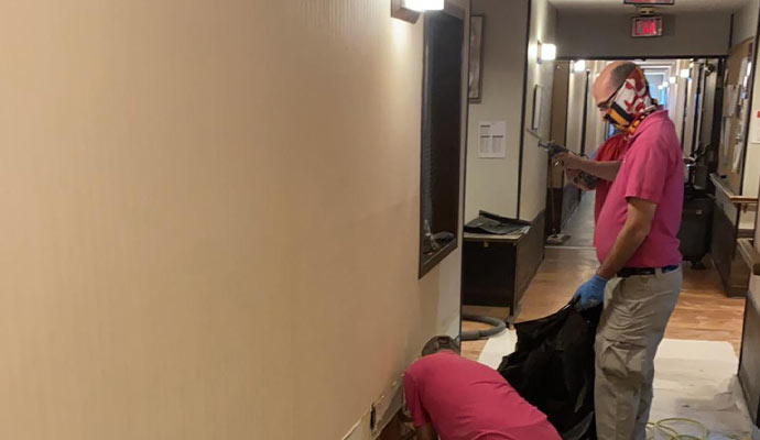 Professional team cleaning commercial hallway