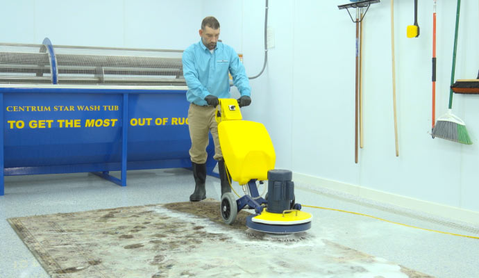 Professional worker cleaning rug