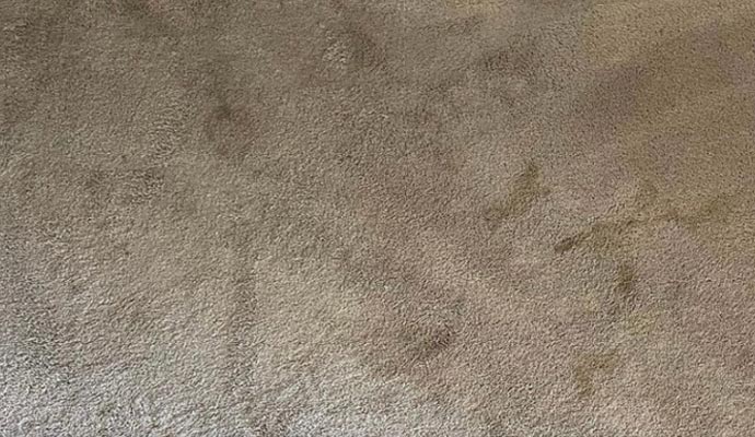 Visible stain on carpet